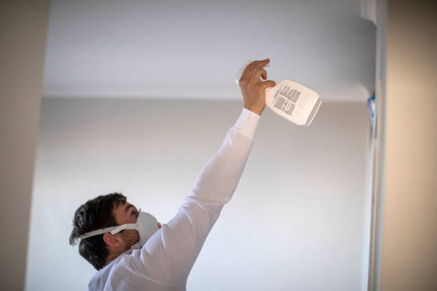 Best Industrial Mold Remediation in Angustura, NM